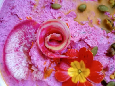 la toquée du bocal – photo 18