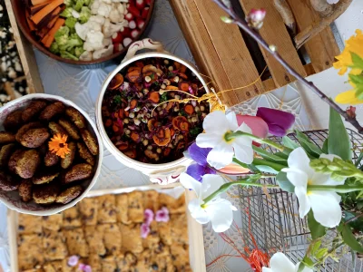 la toquée du bocal – photo 5