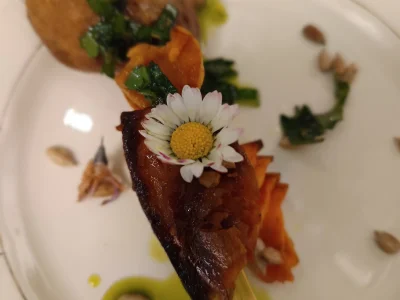 la toquée du bocal – photo 13