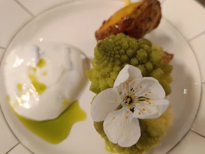 la toquée du bocal – photo 12