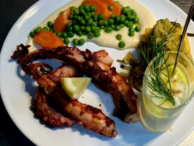 Ecureuil gourmand – photo 5