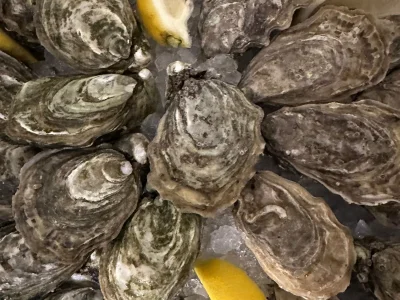 La brasserie du port – photo 1