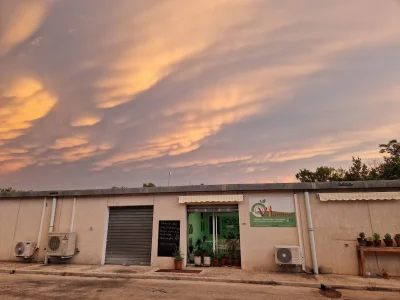 ValentineBio – photo 11