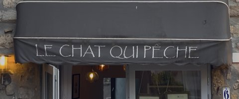 Le chat qui pêche